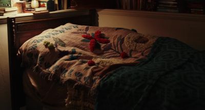 I'm not here. - The Storied Life of A.J. Fikry