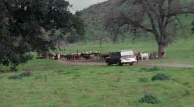 [honking] - The Dukes of Hazzard