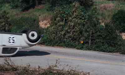 (HONKING) - The Love Bug