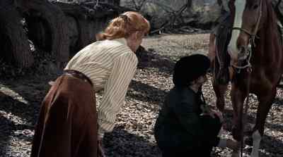 Hoof split. Better not ride him in. - Gunfight at the O K  Corral