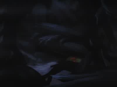 Hook! It was a bomb! Why, if it hadn't been for Tink... Tinker Bell! - Peter Pan