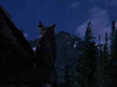 [ hooting ] - Mountain Family Robinson
