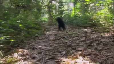 -[hoots]
-[Mireya]  They'll have
 a driver to run them through - Expedition Bigfoot