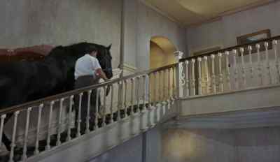 HOOVES CLATTER ON STAIRS - The Early Bird