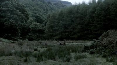 (Hooves thunder) - Vikings