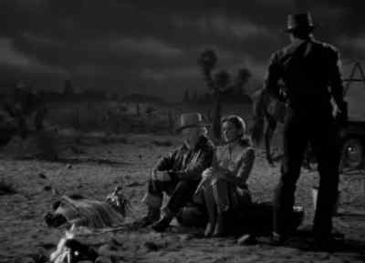 Hope you don't mind sleeping on the same desert with me - A Lady Takes a Chance