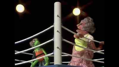 Hope your insurance is paid, frog. - The Muppet Show