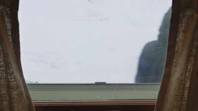 Hope nothing happens
to your garden this summer. - Joe Pera Talks With You