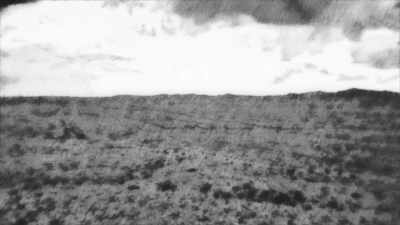 (hopeful music playing) - Trees and Other Entanglements