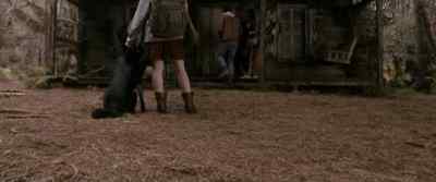 Hopefully, it still works. - Evil Dead