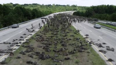 [Horn honking] - The Walking Dead