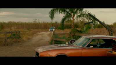 -(HORN HONKS)
-(HANNAH SIGHS) - Geostorm