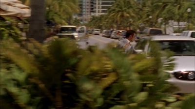 - [ Horn Honks ]
- [ Man ]
Hey! You crazy? - Burn Notice