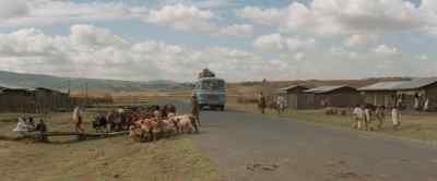[HORN HONKS] - Shaft in Africa