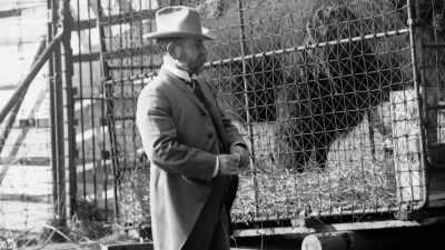 Hornaday had personally
designed special crates - The American Buffalo