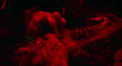- [♪ horror sting]
- [Squawky Bird screeches] - Mr. Crocket