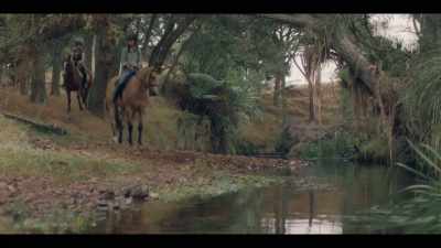 [HORSE BLOWS] - Mystic