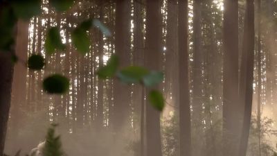    [horse breathing heavily] - The Magicians