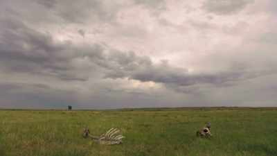 Horse Capture, Jr.:
Well, since the beginning, - The American Buffalo