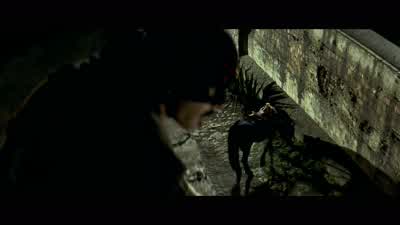 Psst Horse Come hereBlackie ThunderStormStupido Get over here nowI warn you I'll get another horse - The Mask of Zorro