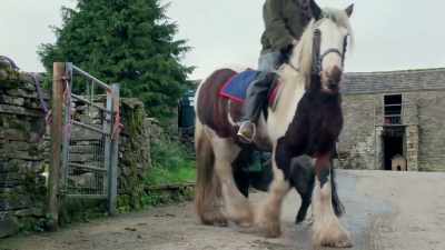 HORSE FARTS - Our Yorkshire Farm