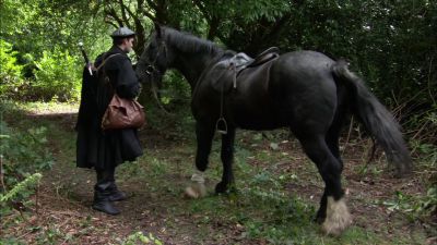 [Horse neighing] - The Tudors