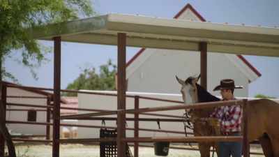 [horse neighing] - A Cowboy Christmas Romance