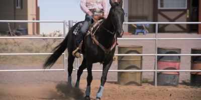 [horse neighs] - Walk  Ride  Rodeo