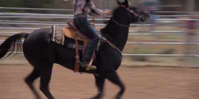 [horse neighs] - Walk  Ride  Rodeo