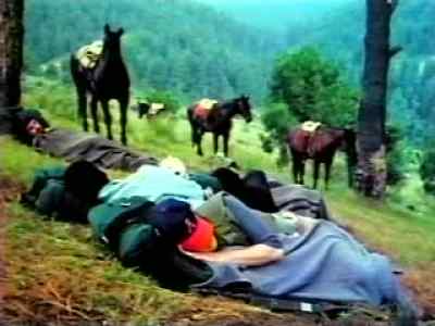 (horse neighs) - High Risk
