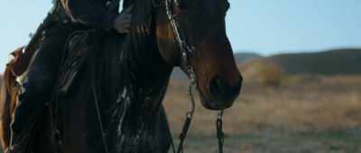 [horse neighs] - Outlaw Johnny Black