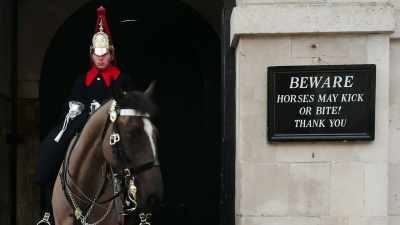 [horse neighs] - Searching for Secrets