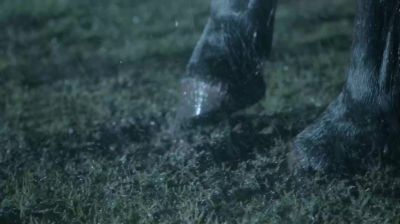 (HORSE NICKERING) - Teen Wolf