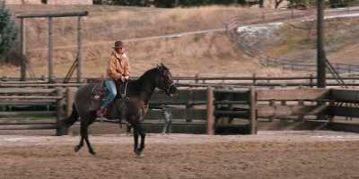 - (HORSE NICKERS)
- (GRUNTS) - Yellowstone