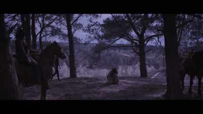 (HORSE NICKERS) - Landscapers