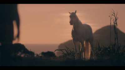 [HORSE NICKERS] - Mystic