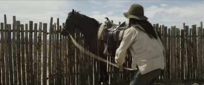 [horse nickers] - Godless