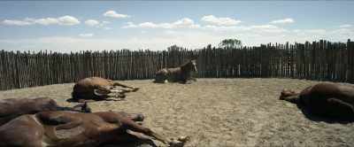 [horse nickers] - Godless