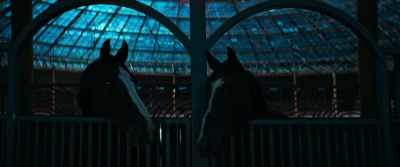 [horse nickers] - Ballerina