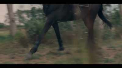 [HORSE SNORTS] - Mystic
