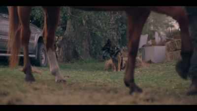 [HORSE SNORTS] - Mystic