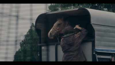 [HORSE SNORTS] - Mystic