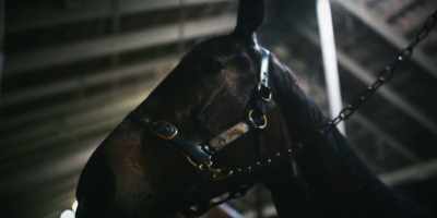 (HORSE SNORTS) - Revealed: How to Poison a Planet