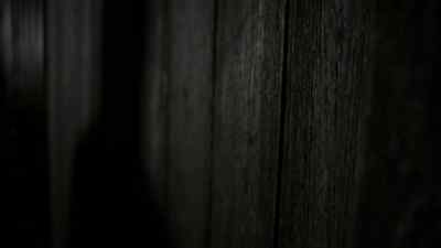 (HORSE SQUEALS) - Wallander