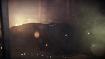 (horse whinnies)
abbie:
Crane. - Sleepy Hollow