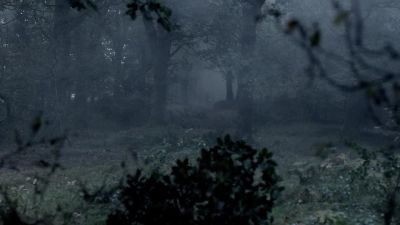 (horse whinnies, galloping hooves) - Vikings