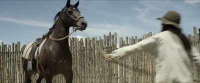 [horse whinnies] - Godless