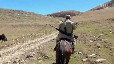 (HORSE WHINNIES) - From Russia to Iran: Crossing Wild Frontier