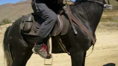(HORSE WHINNIES) - From Russia to Iran: Crossing Wild Frontier