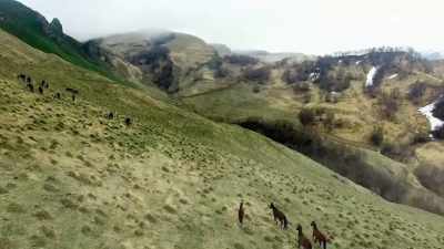 (HORSE WHINNIES) - From Russia to Iran: Crossing Wild Frontier